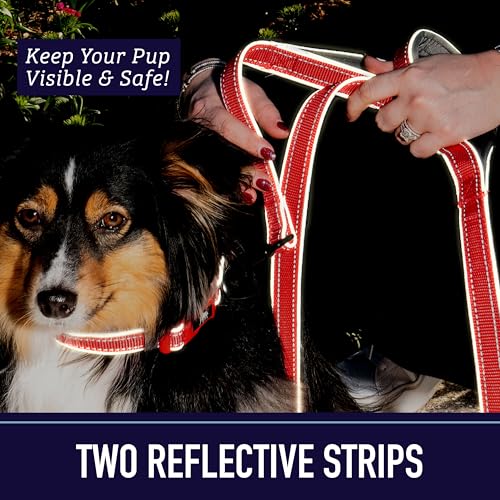 Leash Boss Double Handle 6ft Reflective Dog Leash with Padded Handle - Orange Blanket Pattern