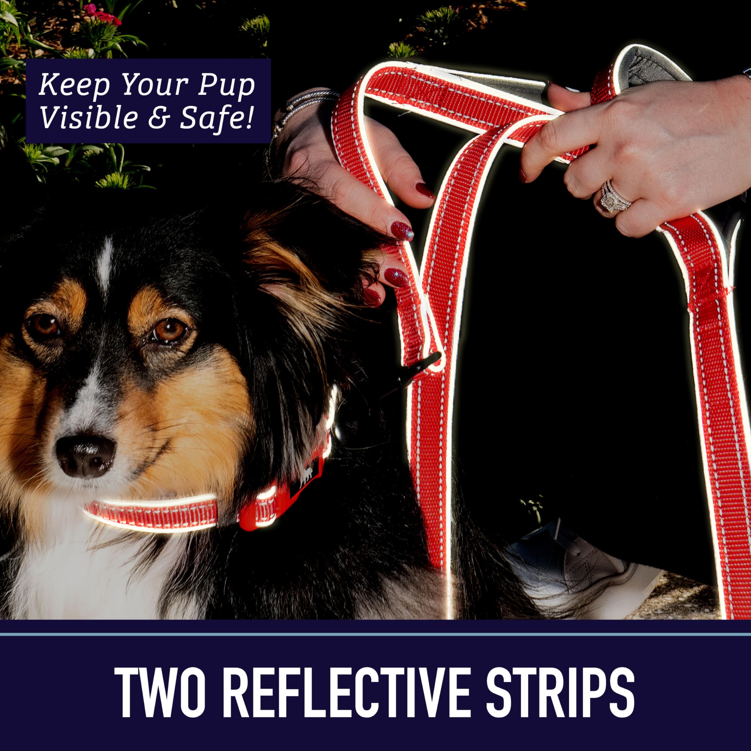 Leash Boss Double Handle 6ft Reflective Dog Leash with Padded Handle - Orange Blanket Pattern