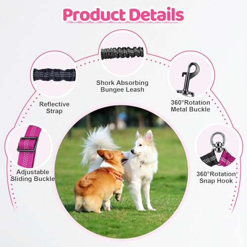 LEOSASA Double Dog Leash 360° Swivel Tangle-Free Splitter for Two Dogs, Fuchsia