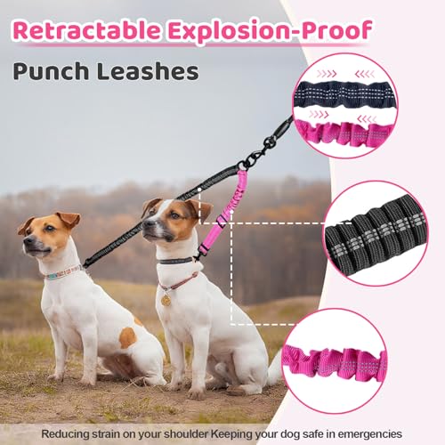 LEOSASA Double Dog Leash 360° Swivel Tangle-Free Splitter for Two Dogs, Fuchsia