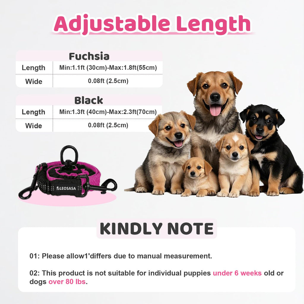 LEOSASA Double Dog Leash 360° Swivel Tangle-Free Splitter for Two Dogs, Fuchsia