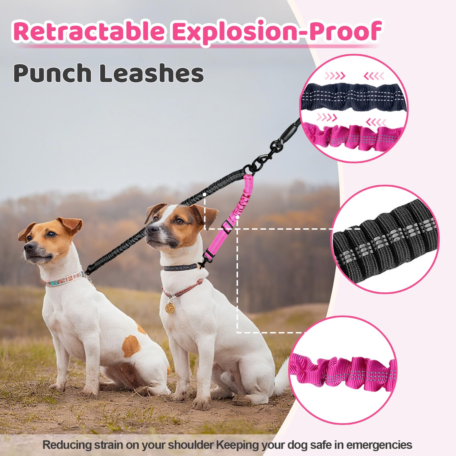 LEOSASA Double Dog Leash 360° Swivel Tangle-Free Splitter for Two Dogs, Fuchsia