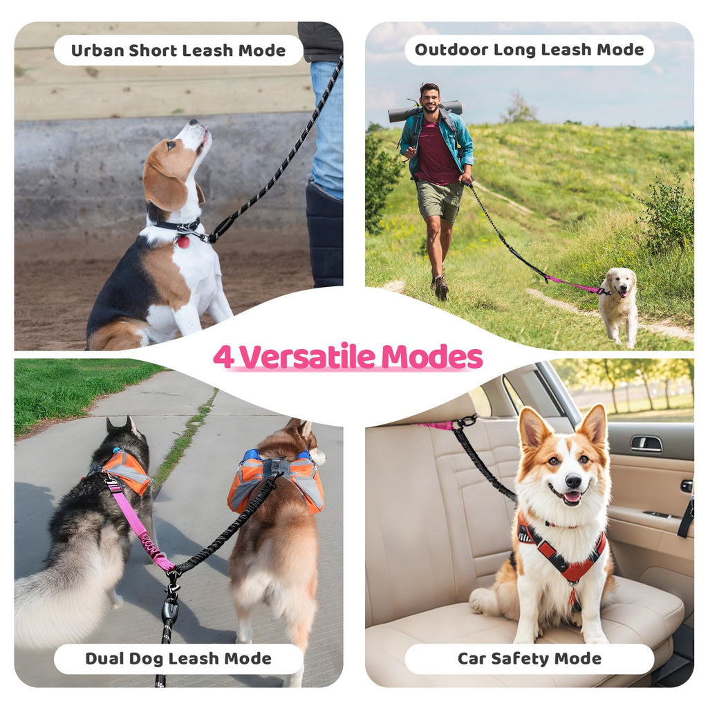 LEOSASA Double Dog Leash 360° Swivel Tangle-Free Splitter for Two Dogs, Fuchsia