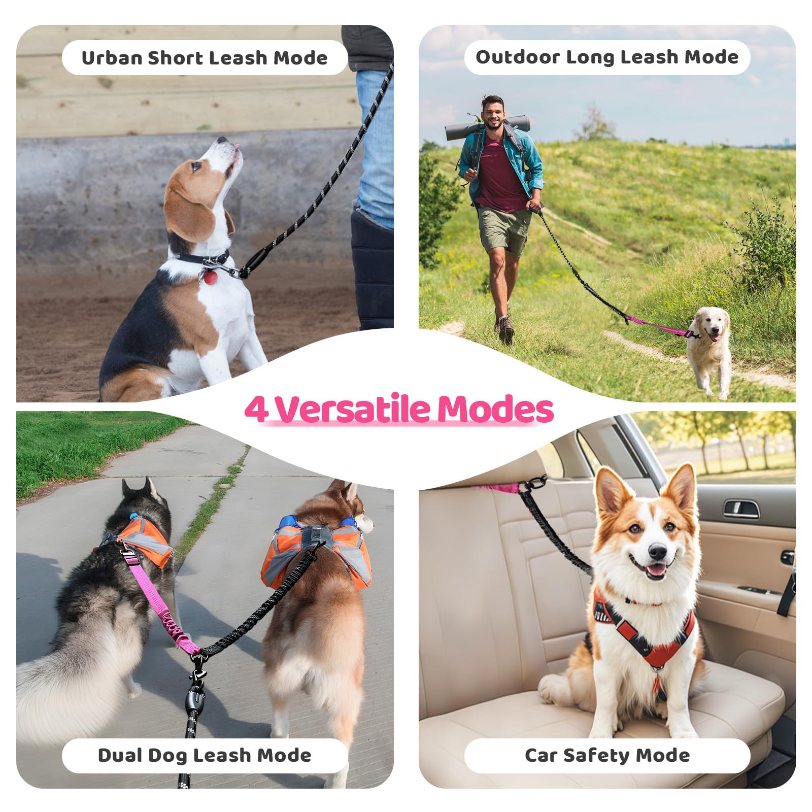 LEOSASA Double Dog Leash 360° Swivel Tangle-Free Splitter for Two Dogs, Fuchsia