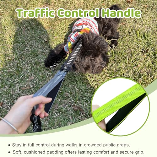LEOSASA Double Dog Leash Coupler - No Tangle Splitter for Two Dogs with Adjustable Lead, Dual Handles, Reflective Strap - Green