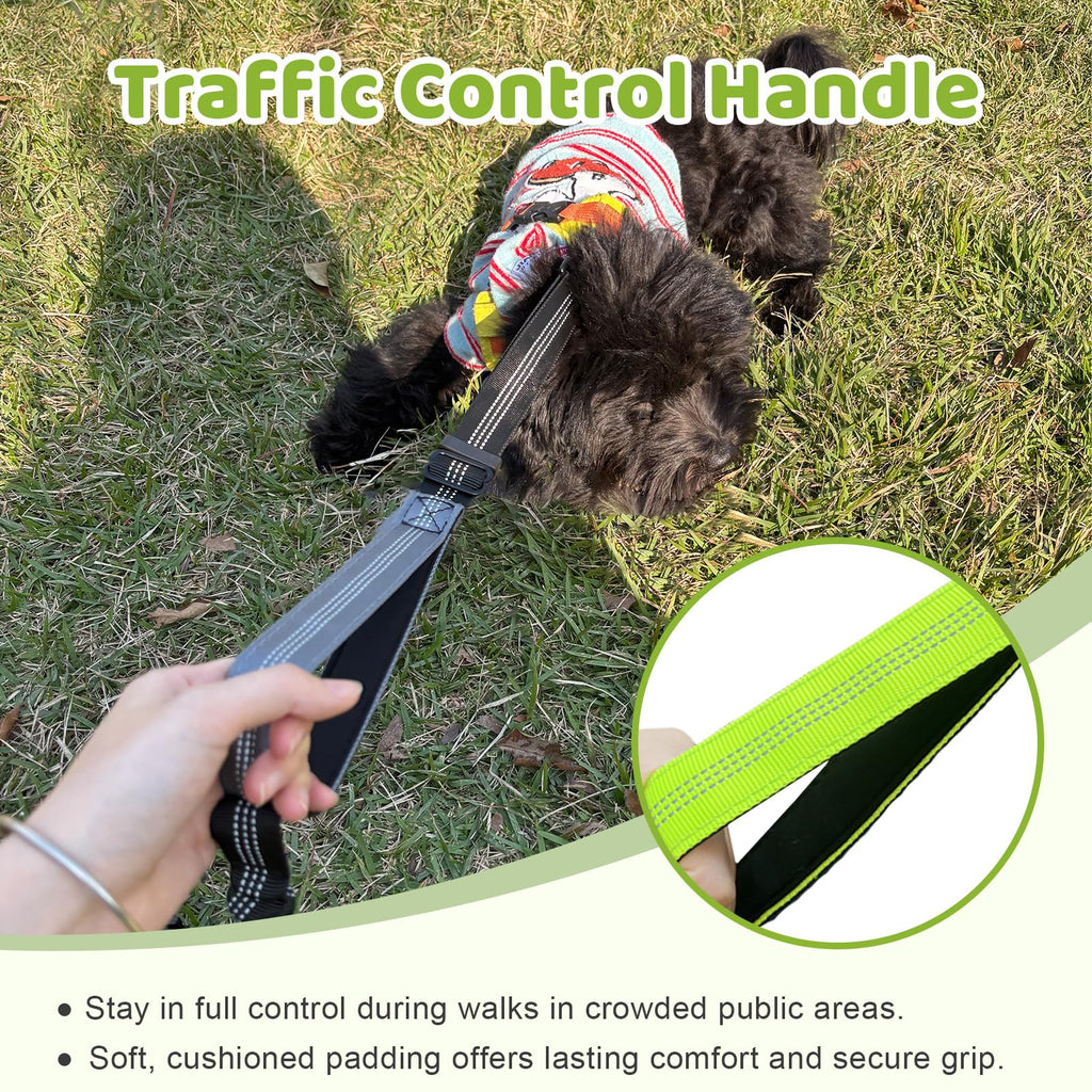 LEOSASA Double Dog Leash Coupler - No Tangle Splitter for Two Dogs with Adjustable Lead, Dual Handles, Reflective Strap - Green