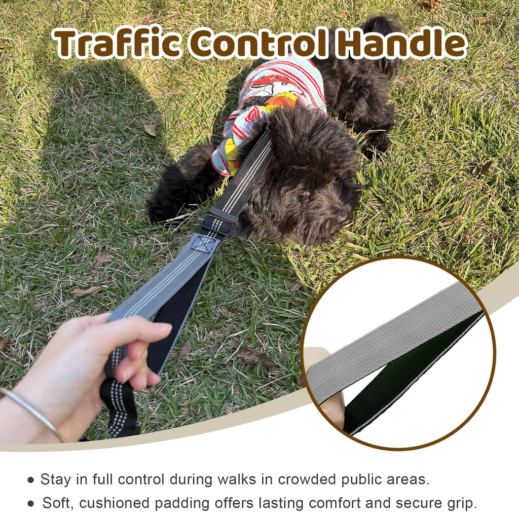 LEOSASA Double Dog Leash – No Tangle Coupler with Bungee, Adjustable Lead, Traffic Handle, Reflective, Grey