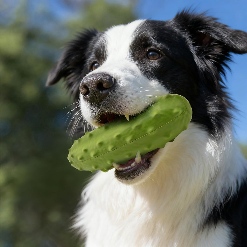 LIFLIX Tough Squeaky Dog Toy - Durable Natural Rubber Chew Toy for Medium Large Breeds, Cucumber Pickle Shape