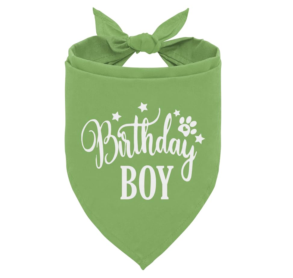 Light Green Birthday Dog Bandana - Flannel Triangle Scarf for Small & Medium Dogs