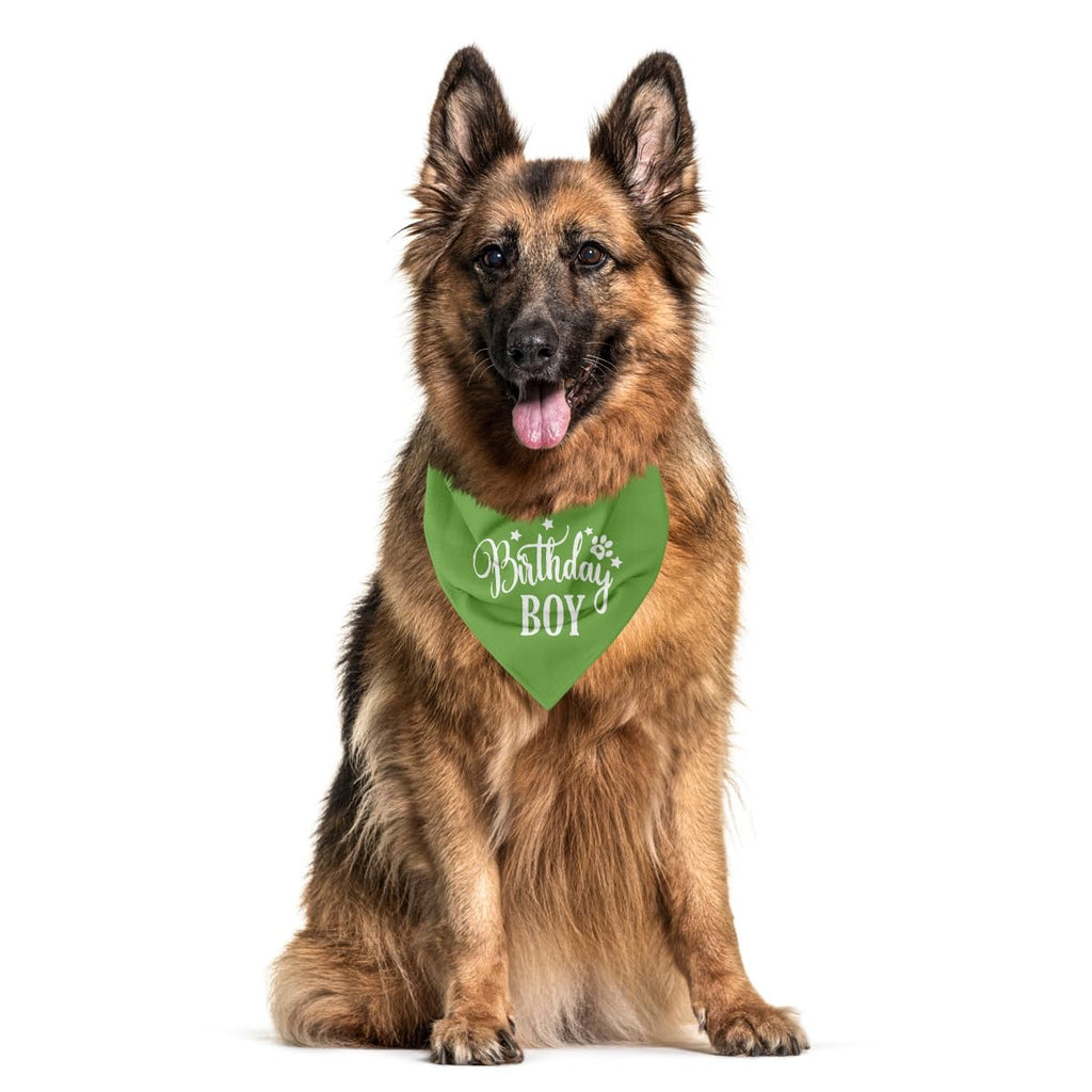 Light Green Birthday Dog Bandana - Flannel Triangle Scarf for Small & Medium Dogs