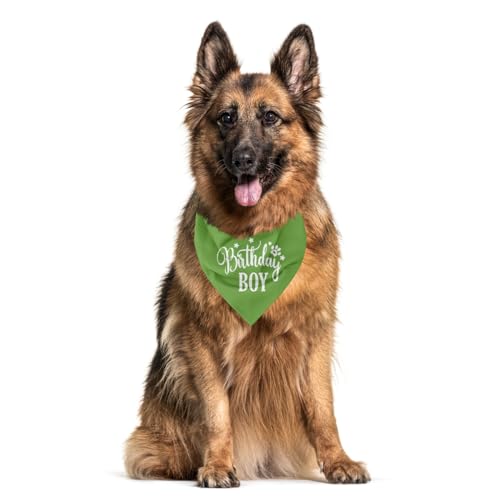Light Green Birthday Dog Bandana - Flannel Triangle Scarf for Small & Medium Dogs