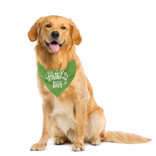 Light Green Birthday Dog Bandana - Flannel Triangle Scarf for Small & Medium Dogs