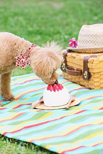 Lionet Paws Cotton Flower Dog Collar – Adjustable, Handmade with Removable Flower, Medium (13.5–22 in Neck)
