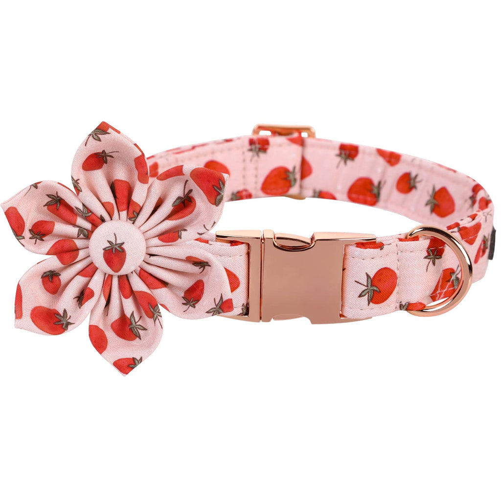 Lionet Paws Cotton Flower Dog Collar – Adjustable, Handmade with Removable Flower, Medium (13.5–22 in Neck)