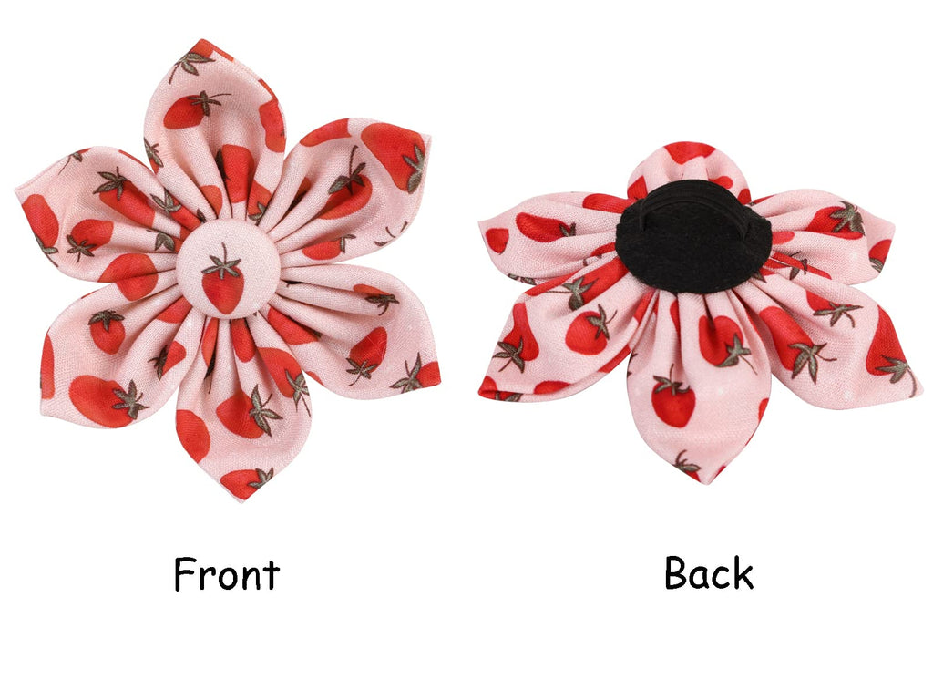 Lionet Paws Cotton Flower Dog Collar – Adjustable, Handmade with Removable Flower, Medium (13.5–22 in Neck)