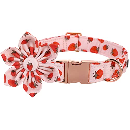 Lionet Paws Cotton Flower Dog Collar – Adjustable, Handmade with Removable Flower, Medium (13.5–22 in Neck)