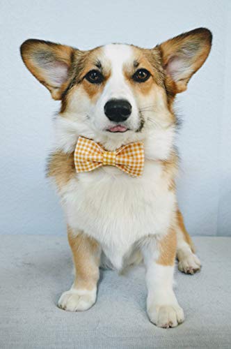 Lionet Paws Dog Collar with Bowtie for Large Dogs – Adjustable 16-24in, Cotton & Alloy Buckle