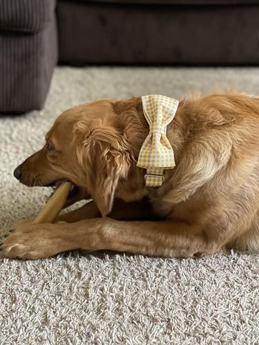 Lionet Paws Dog Collar with Bowtie for Large Dogs – Adjustable 16-24in, Cotton & Alloy Buckle