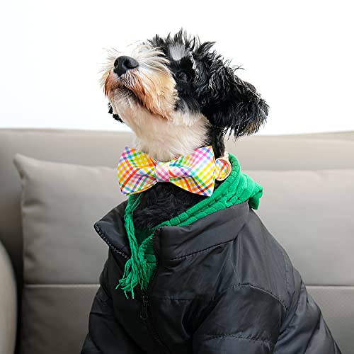 Lionet Paws Easter Dog Collar with Bowtie - Colorful Patterned Cotton Collar for Medium Dogs, Fits Neck 13.5-22 Inches
