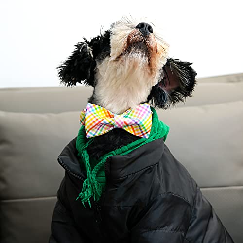 Lionet Paws Easter Dog Collar with Bowtie - Colorful Patterned Cotton Collar for Medium Dogs, Fits Neck 13.5-22 Inches
