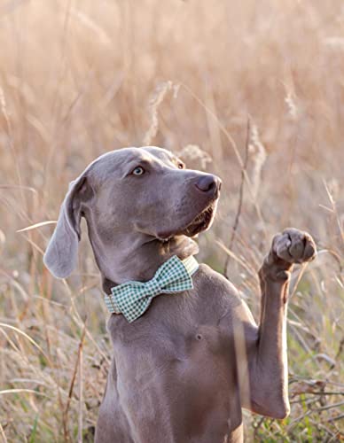 Lionet Paws Handmade Cotton Dog Collar with Bowtie for X-Large Dogs - Adjustable 16-26 Inch Neck, Green & White Grid