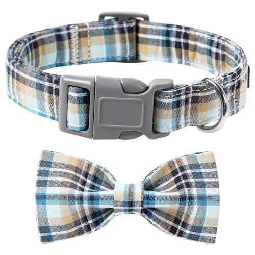 Lionet Paws LightBlue XL Cotton Dog & Cat Collar with Handmade Double Bowtie