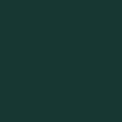 vimg::2