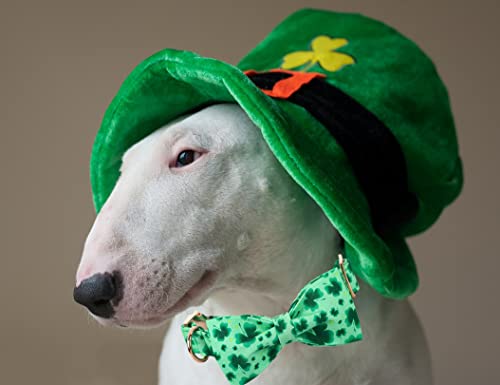 Lionheart glory Clover Dog Collar - Adjustable Cotton Collar with Handmade Bowtie for Medium Dogs