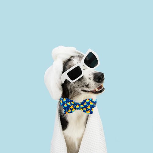 Lionheart glory Ducky Pattern Dog Bow Collar for Small Dogs - Adjustable Cotton Collar with Handmade Bowtie