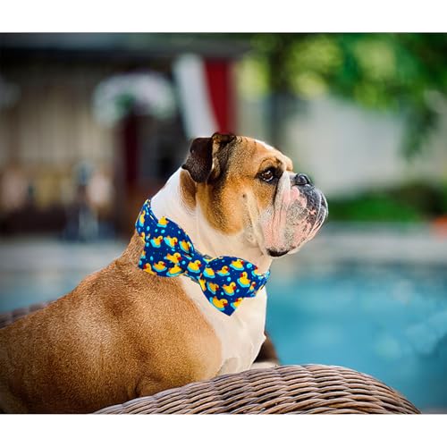 Lionheart glory Ducky Pattern Dog Bow Collar for Small Dogs - Adjustable Cotton Collar with Handmade Bowtie