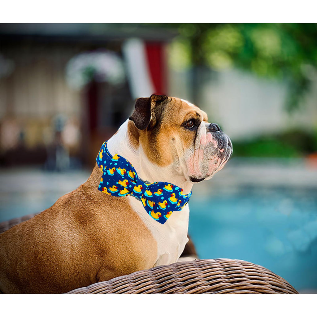 Lionheart glory Ducky Pattern Dog Bow Collar for Small Dogs - Adjustable Cotton Collar with Handmade Bowtie
