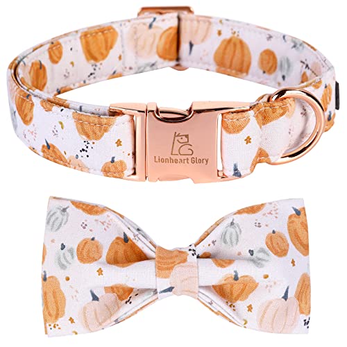 Lionheart glory Halloween Pumpkin Dog Collar with Bowtie – Adjustable Cotton Medium Dog Collar