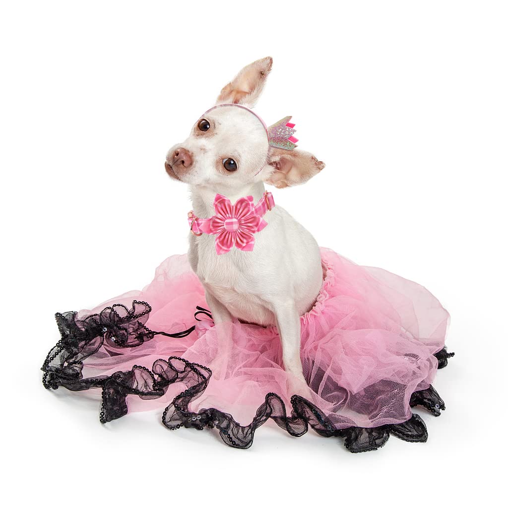 Lionheart Glory Pink Floral Dog Collar with Removable Flower - Adjustable XL for Large Dogs