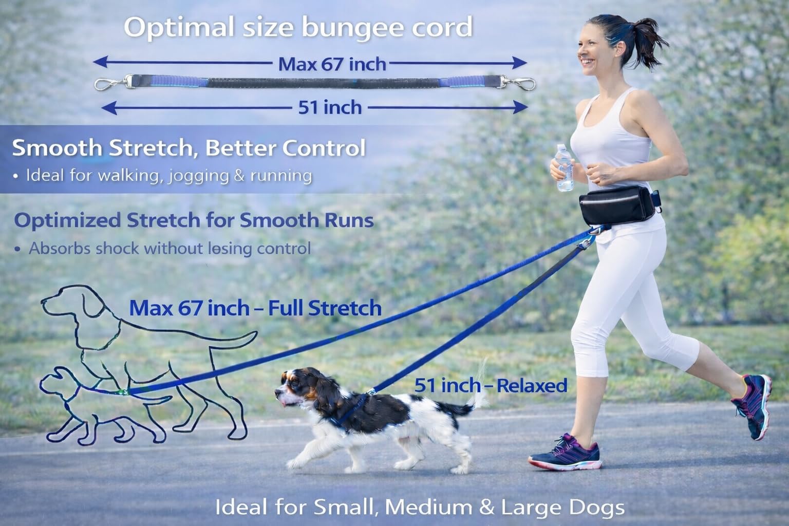 Ljovy Hands-Free Dog Leash with Waist Belt, Zipper Pouch, Reflective Stitching – for Running, Walking, Hiking (Black Teal)