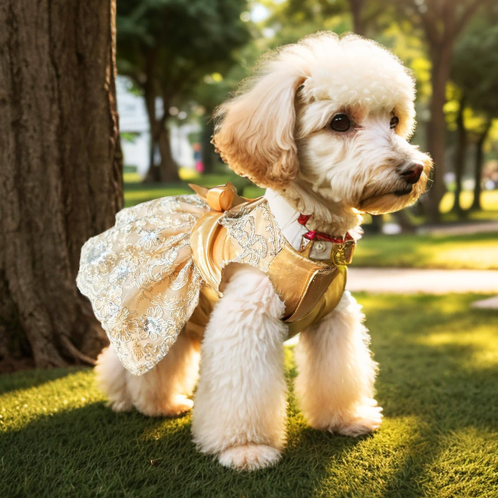 Lolita Princess Dress for Small Dogs – Embroidered Mesh Tulle Party & Wedding Outfit