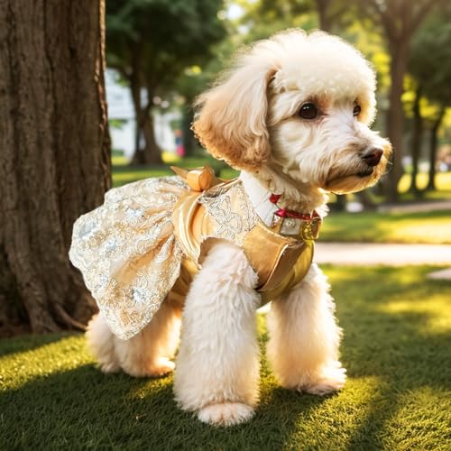 Lolita Princess Dress for Small Dogs – Embroidered Mesh Tulle Party & Wedding Outfit