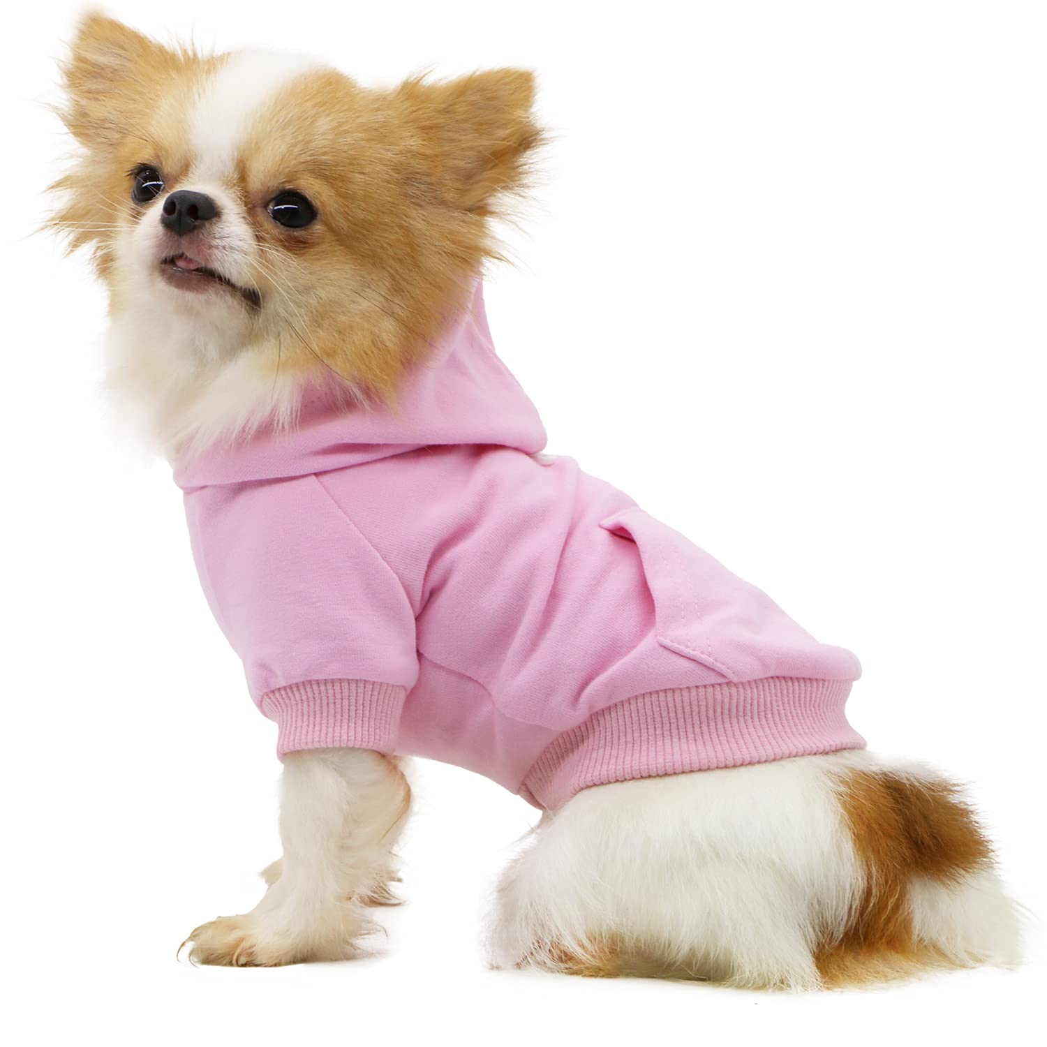 LOPHIPETS Dog Cotton Hoodie for Small Dogs - Pink/S - Pullover Sweatshirt for Chihuahua & Yorkie