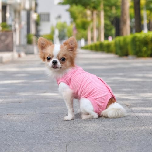 LOPHIPETS Girl Dog Shirt Pajamas for Small Breeds (4.5-6.5 lbs) - Pink Stripe Medium