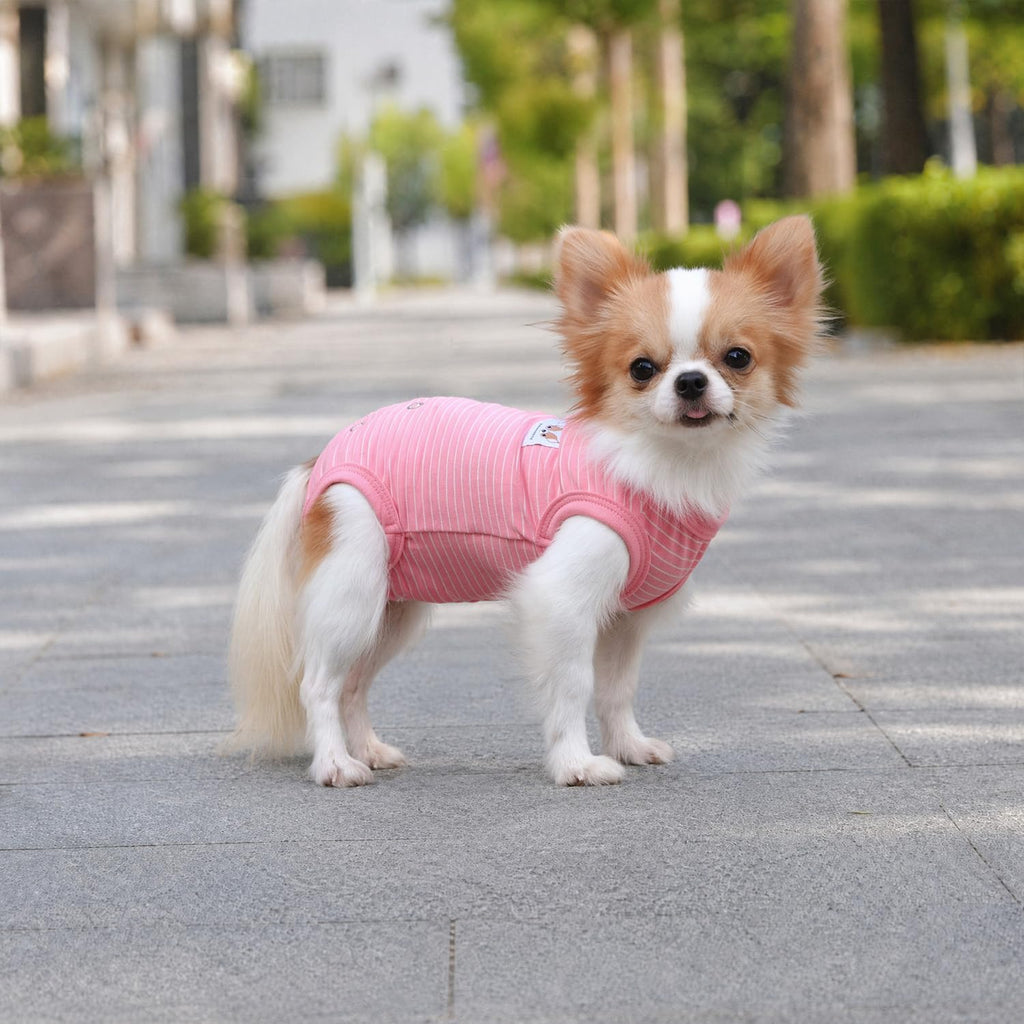 LOPHIPETS Girl Dog Shirt Pajamas for Small Breeds (4.5-6.5 lbs) - Pink Stripe Medium