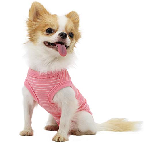 LOPHIPETS Girl Dog Shirt Pajamas for Small Breeds (4.5-6.5 lbs) - Pink Stripe Medium