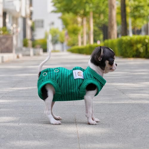 LOPHIPETS Green Stripe Dog Shirt Pajamas for Tiny Female Puppies (XS, 1.2-2.2 lbs)