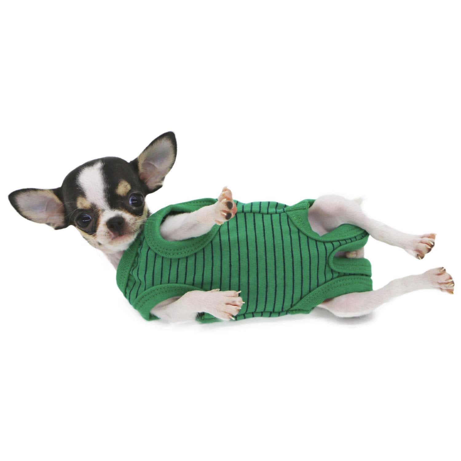 LOPHIPETS Green Stripe Dog Shirt Pajamas for Tiny Female Puppies (XS, 1.2-2.2 lbs)