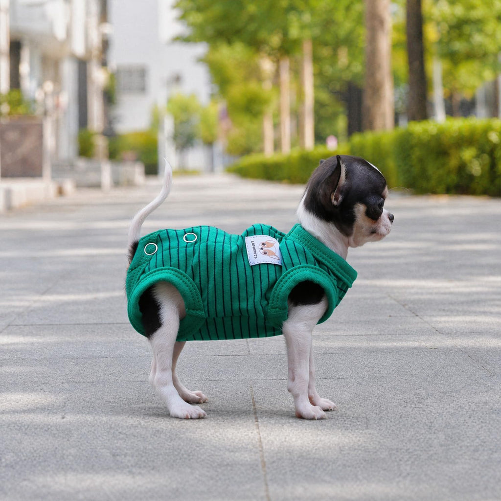LOPHIPETS Green Stripe Dog Shirt Pajamas for Tiny Female Puppies (XS, 1.2-2.2 lbs)