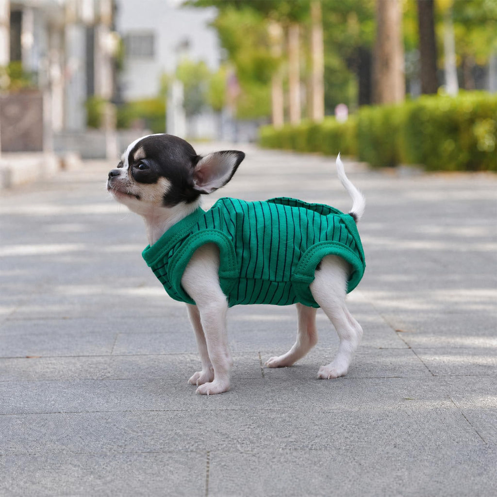 LOPHIPETS Green Stripe Dog Shirt Pajamas for Tiny Female Puppies (XS, 1.2-2.2 lbs)