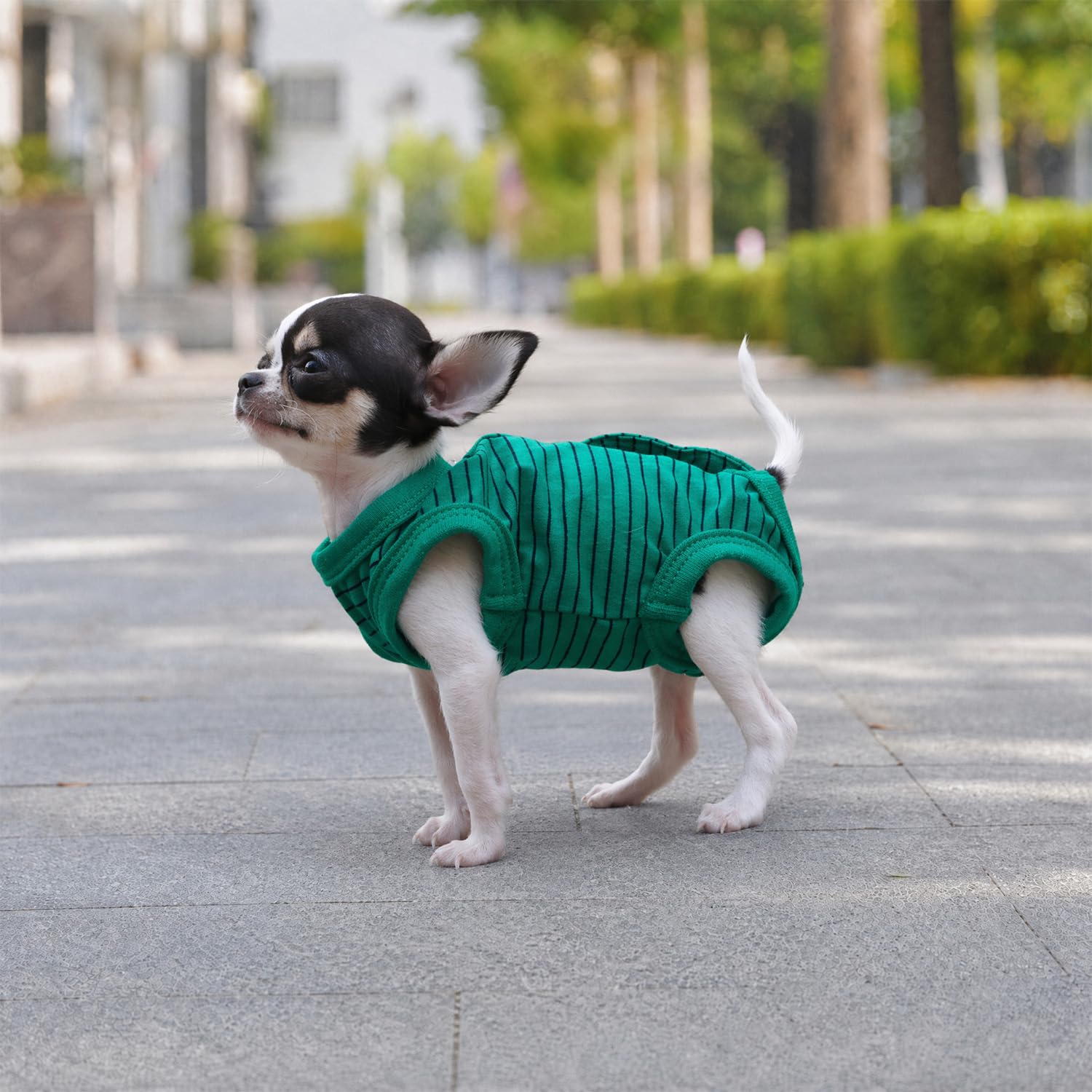 LOPHIPETS Green Stripe Dog Shirt Pajamas for Tiny Female Puppies (XS, 1.2-2.2 lbs)