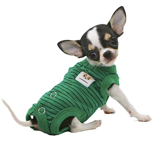 LOPHIPETS Green Stripe Dog Shirt Pajamas for Tiny Female Puppies (XS, 1.2-2.2 lbs)