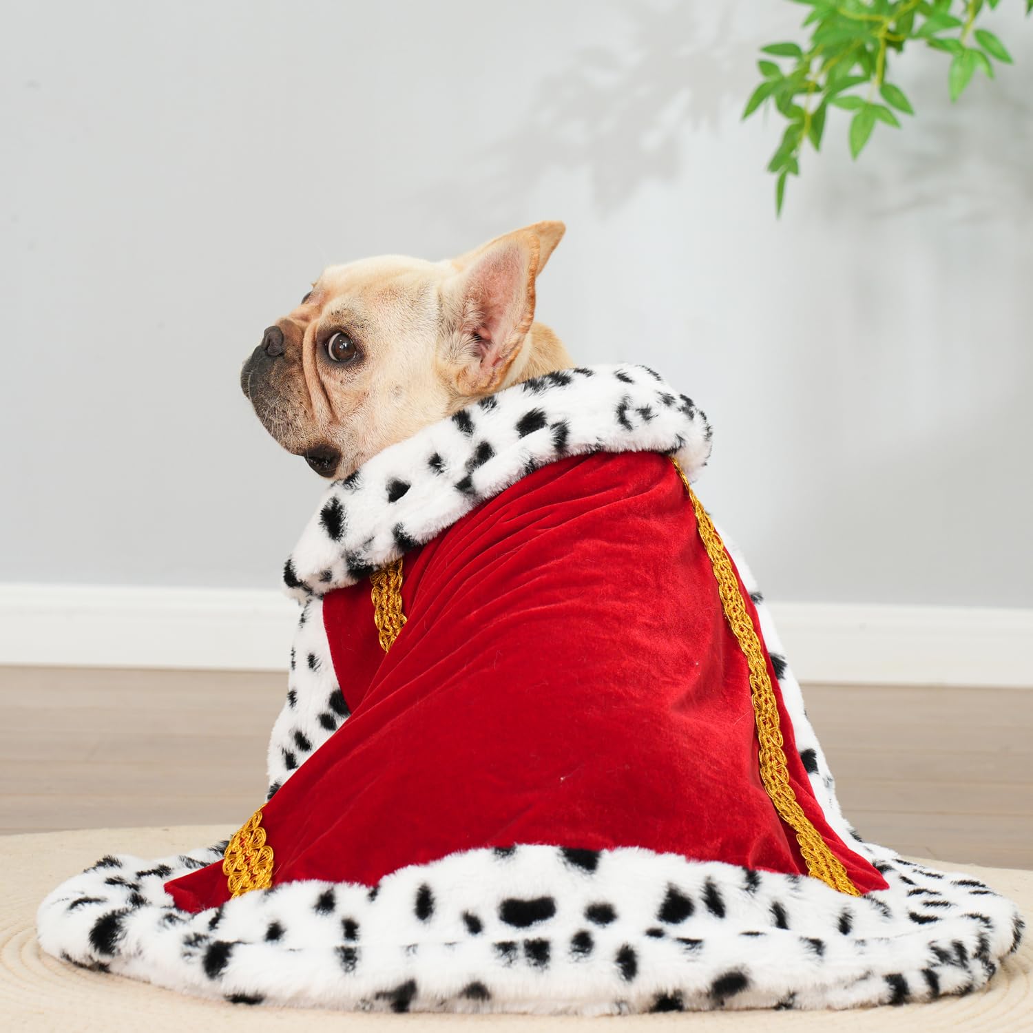 Lovelyshop Pet Cloak for Small Dogs & Cats – Faux Fur King/Queen Halloween Costume (Medium/Oversize) – 18" Neck