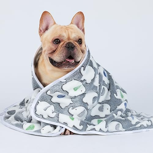Luciphia 1 Pack of 3 Super Soft Flannel Pet Blankets - Cute Elephant Pattern, Dark Grey, Medium 30x20 inch