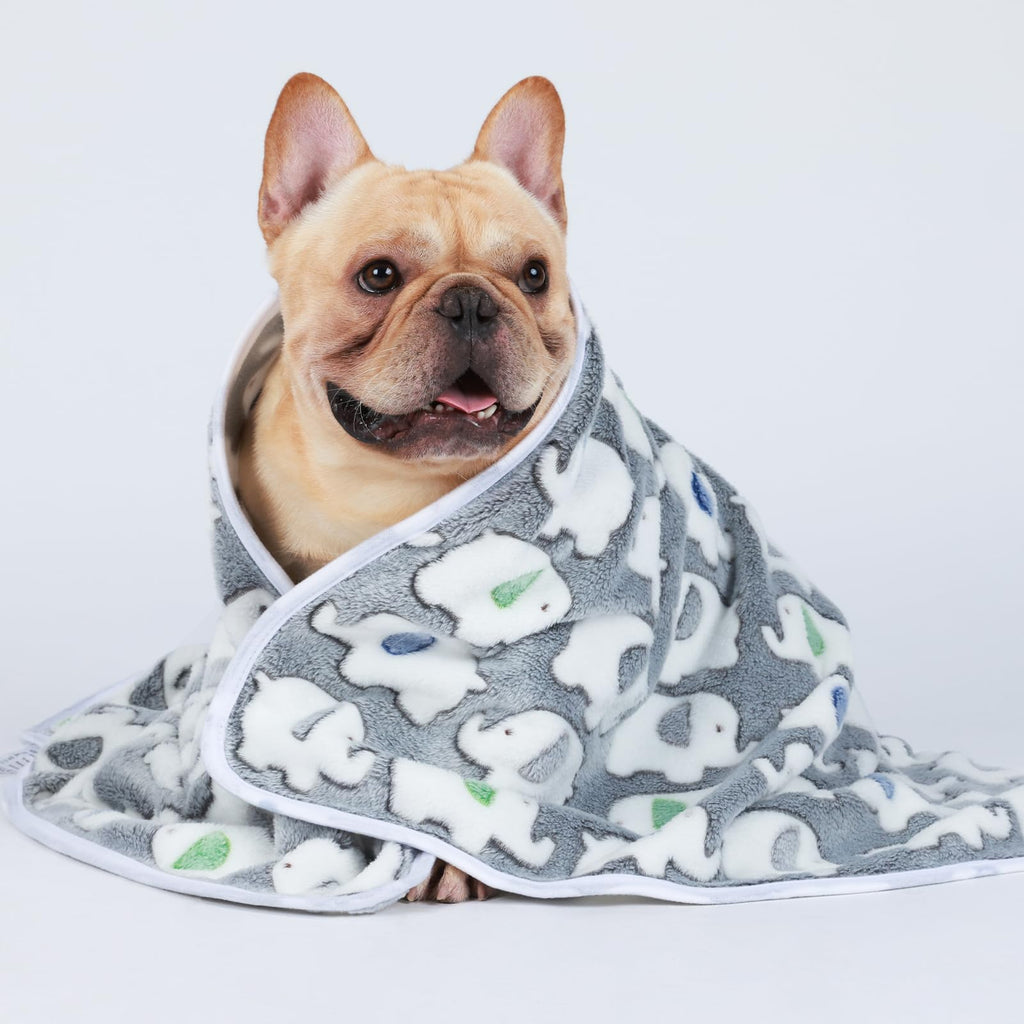 Luciphia 1 Pack of 3 Super Soft Flannel Pet Blankets - Cute Elephant Pattern, Dark Grey, Medium 30x20 inch