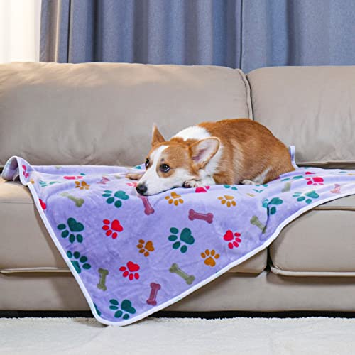 Luciphia 3 Pack Pet Blankets – Soft Coral Velvet Fleece Throw for Dogs & Cats, Paw Bone Print, Machine Washable, Medium 30x20 inches